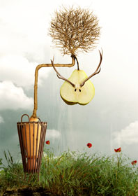 click for larger version