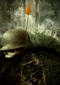 click for larger version