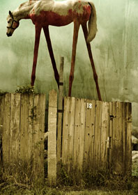 click for larger version